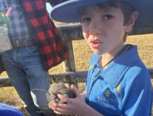 Boy holding wool