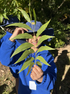 Girl holding giant leaf