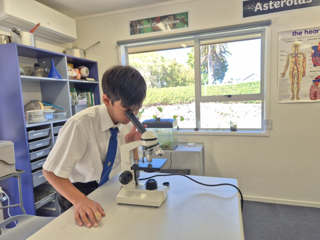 boy looking into microscope