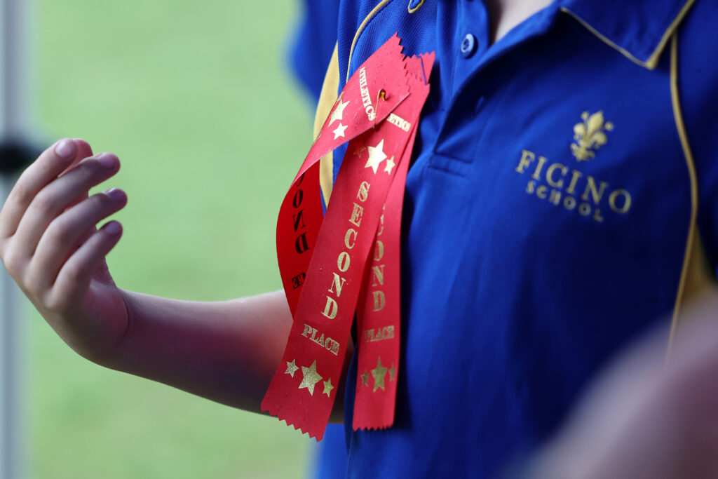 Prize ribbons at Ficino School