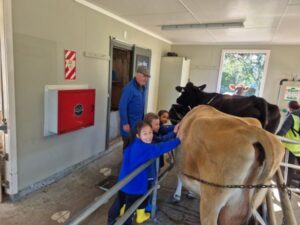 Children patting farm cows