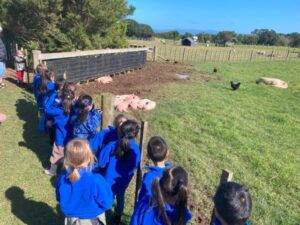 Young children watch sleeping pigs on farm