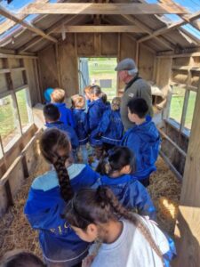 Young children walking through chicken hutch