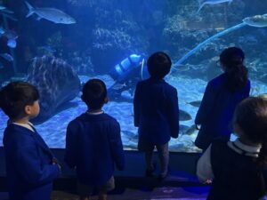 Children watching diver feed fish in underwater tank