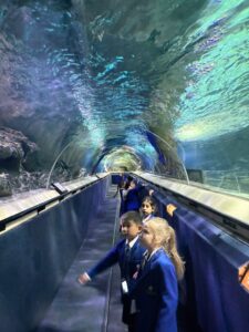 Children on underwater travellator