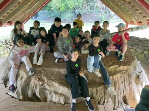 Children sit on tree stump at Waitangi