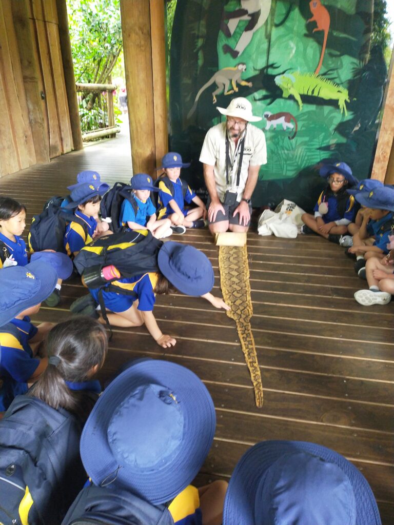 A group of primary school children watching a demonstration by a zoo worker