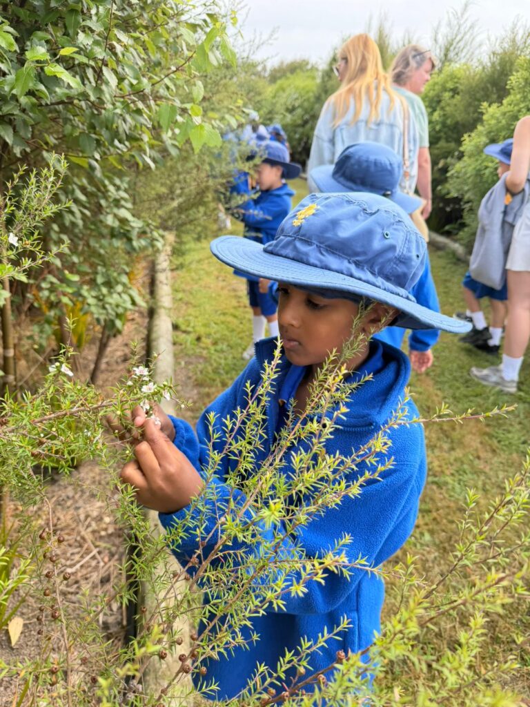 A boy in a blue hat in the garden