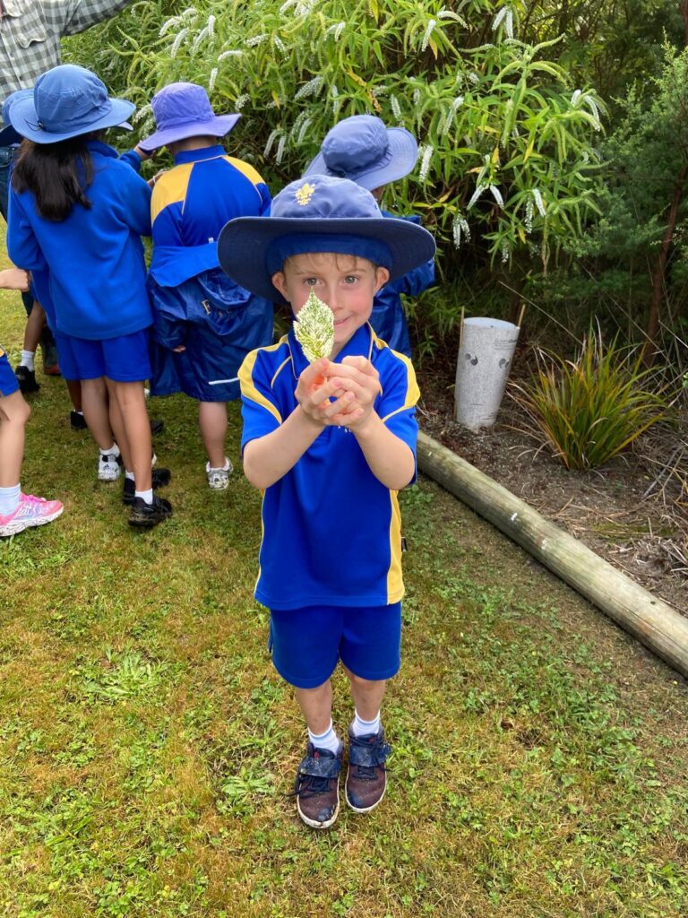 A young boy holding a leaf