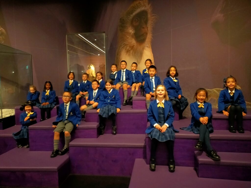 A group of children sitting in a group on purple seats