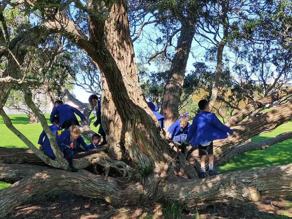 A group of children climbing a tree